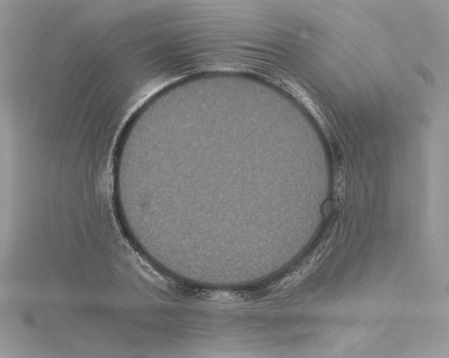 X0000114640787200911171029