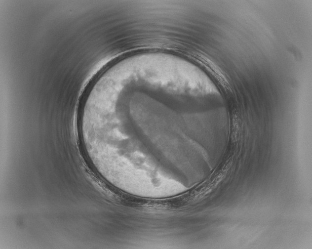 X0000114640788200911171029