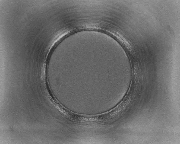 X0000114640790200911171029