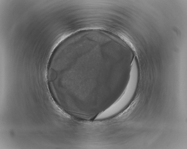 X0000114640797200911171029