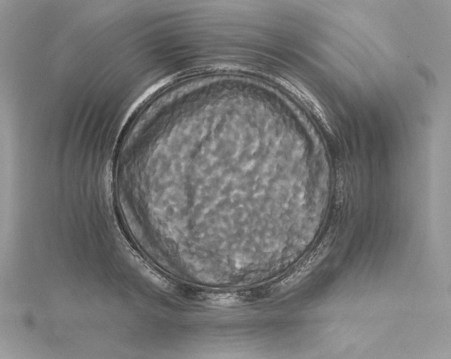 X0000114640798200911171029