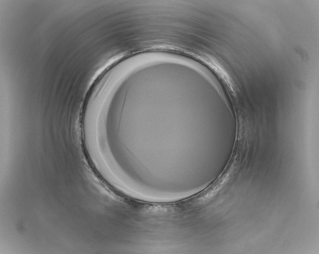 X0000114640806200911171029