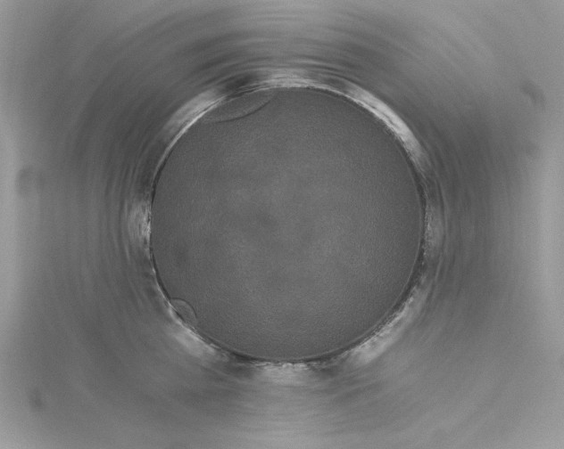 X0000114640809200911171029