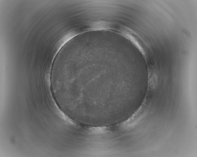 X0000114640810200911171029