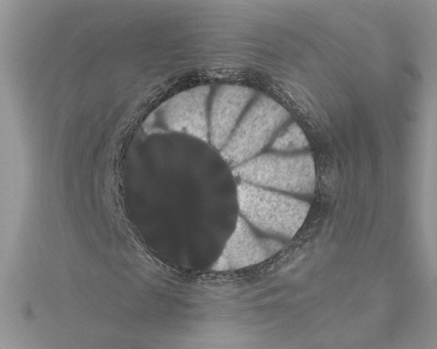 X0000114640817200911171028