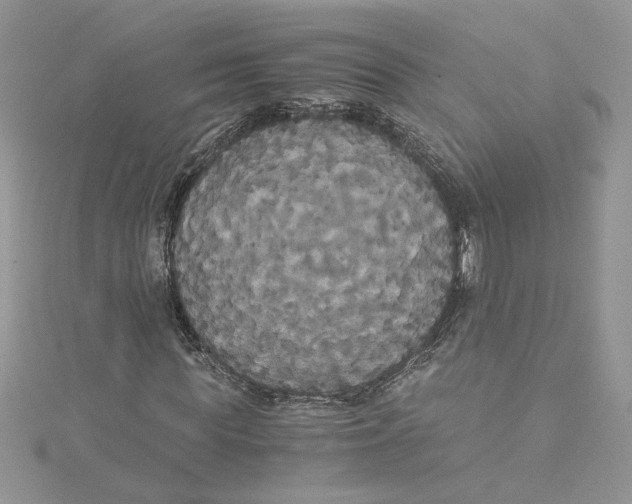 X0000114640819200911171028