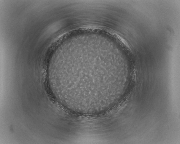 X0000114640821200911171028