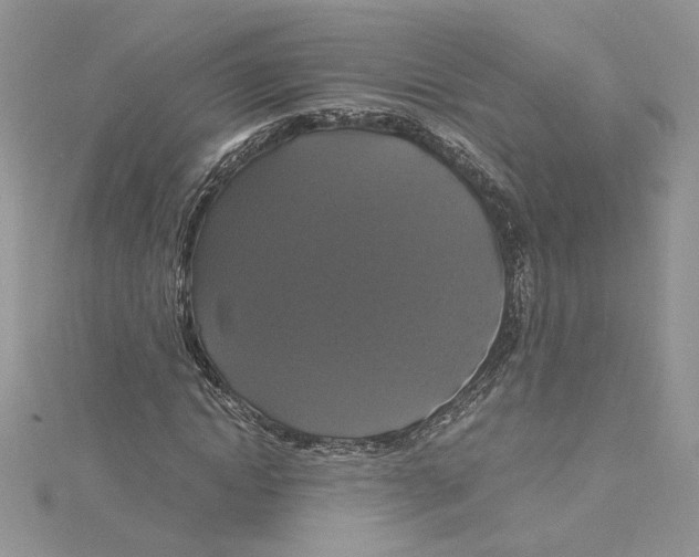 X0000114640822200911171028