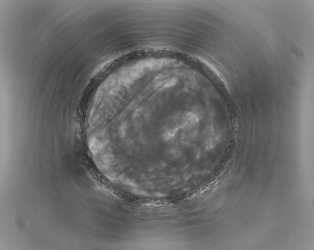 X0000114640823200911171028