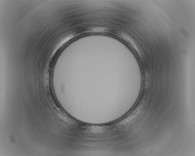 X0000114640827200911171028