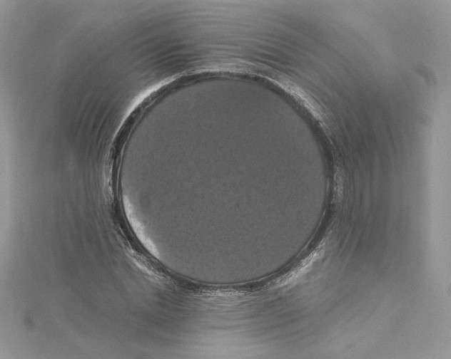 X0000114640830200911171028