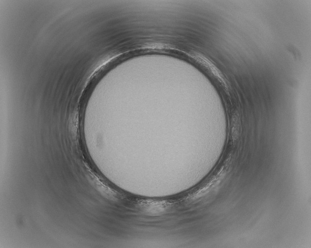 X0000114640831200911171028