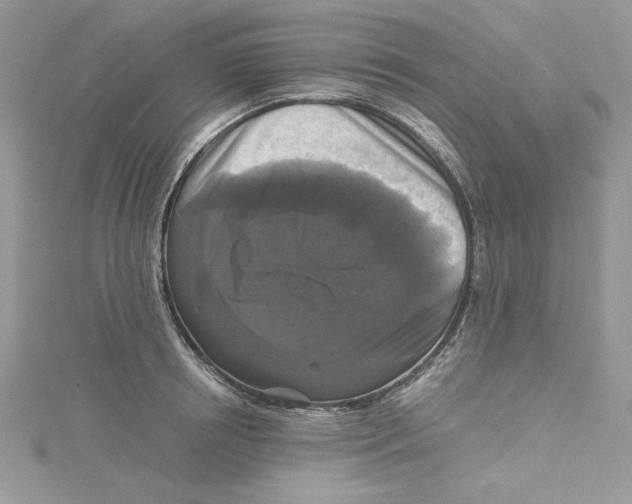X0000114640850200911171028
