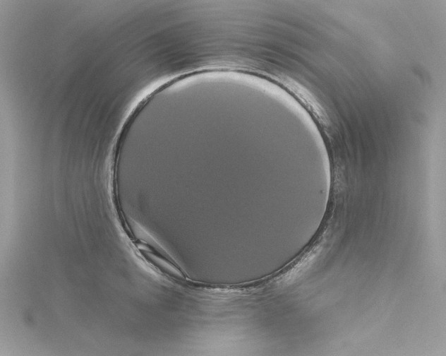 X0000114640854200911171028