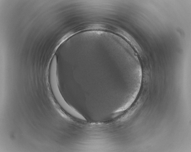 X0000114640858200911171029