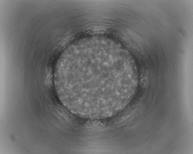 X0000114640866200911171028