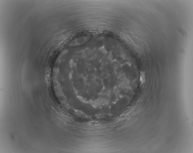 X0000114640867200911171028