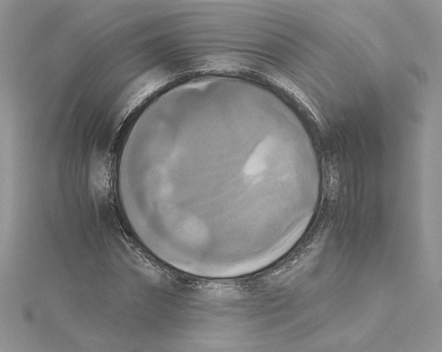 X0000114640874200911171028