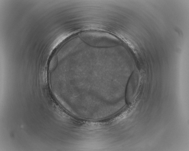 X0000114640877200911171028