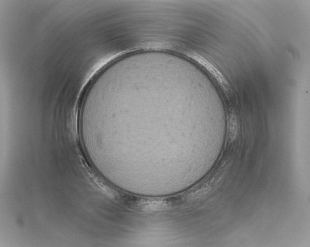 X0000114640886200911171028