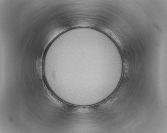 X0000114640890200911171028