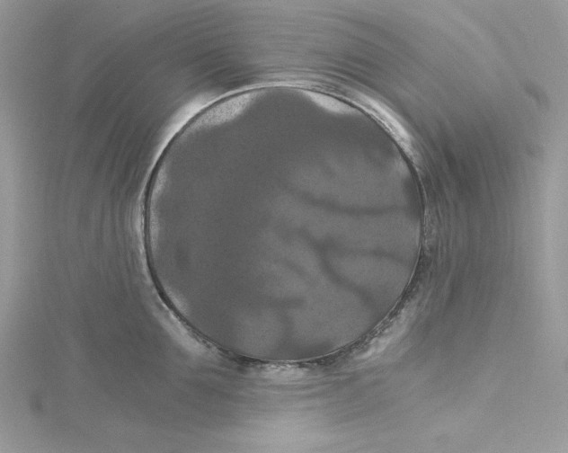 X0000114640907200911171027