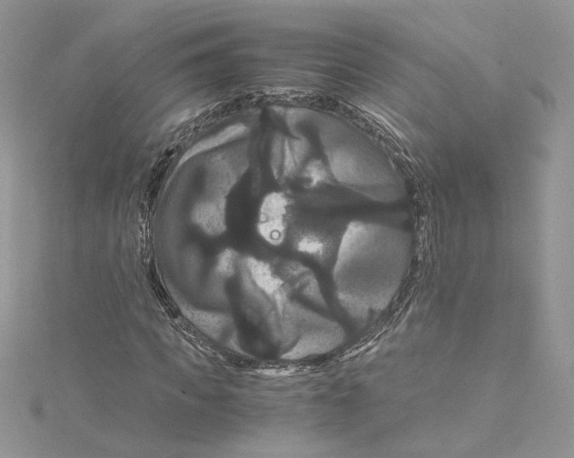 X0000114640917200911171027