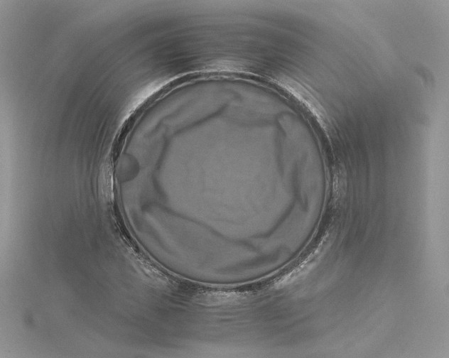 X0000114640925200911171027