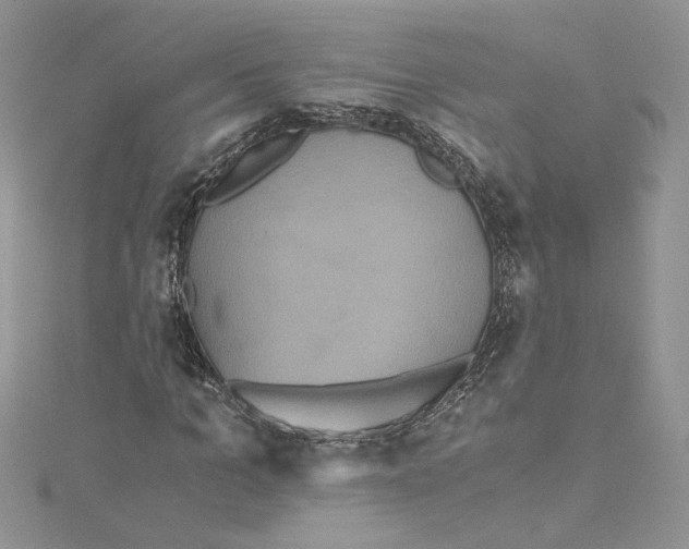 X0000114640965200911171027