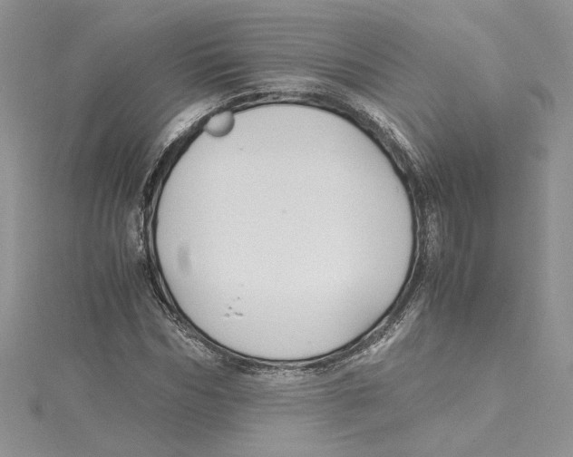 X0000114640970200911171027