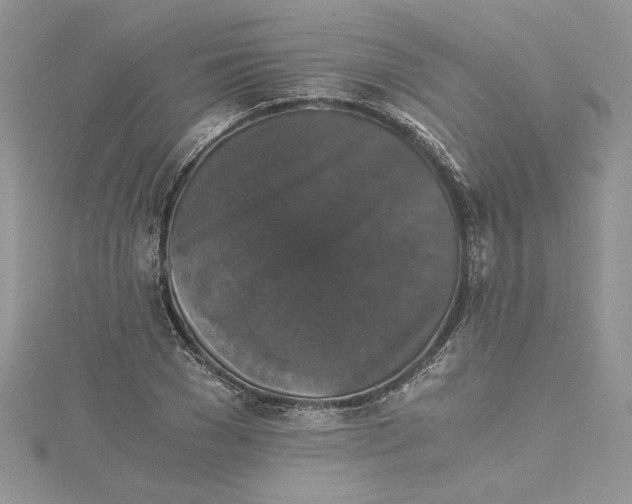 X0000114640977200911171027