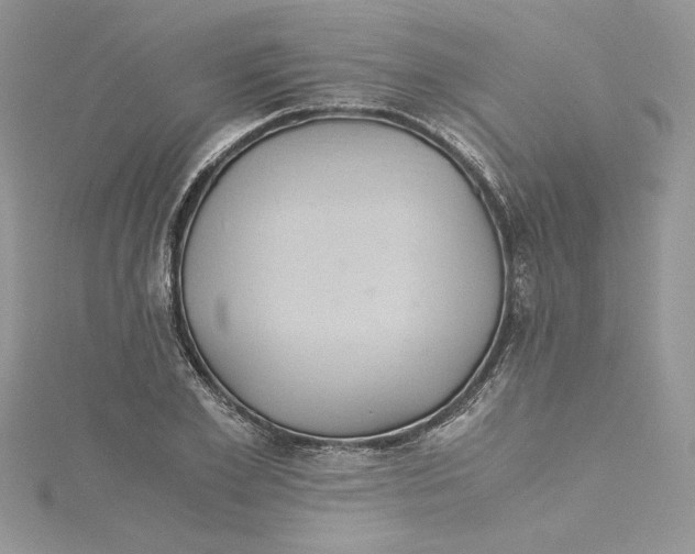 X0000114640981200911171026