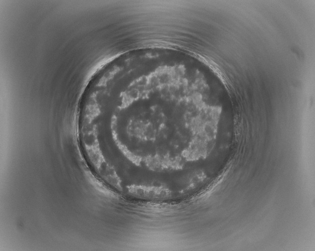 X0000114640987200911171026