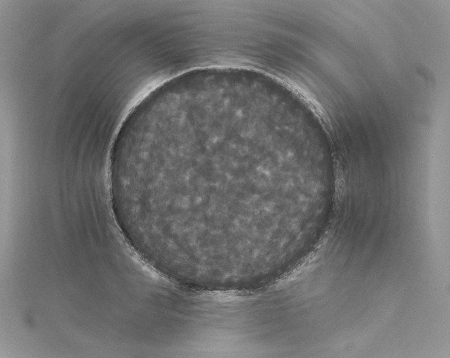 X0000114640990200911171026