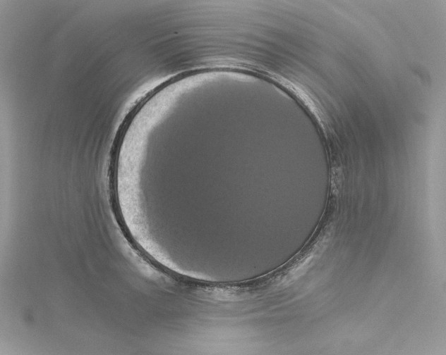 X0000114640995200911171026