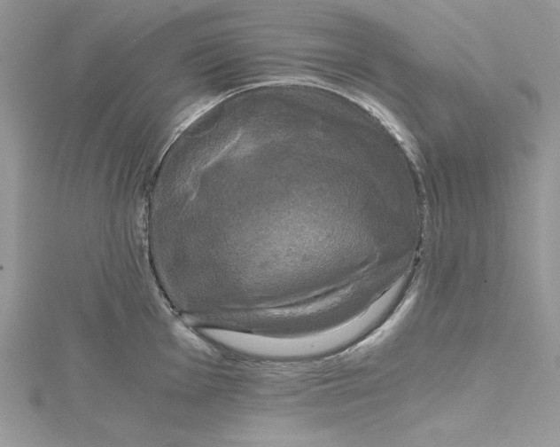 X0000114641001200911171026