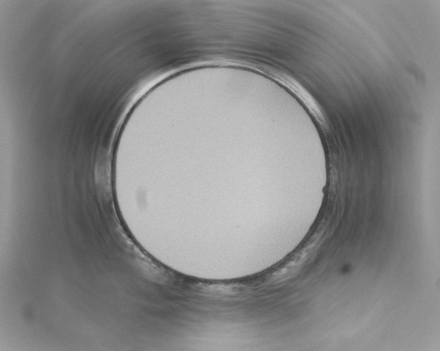 X0000114641004200911171026