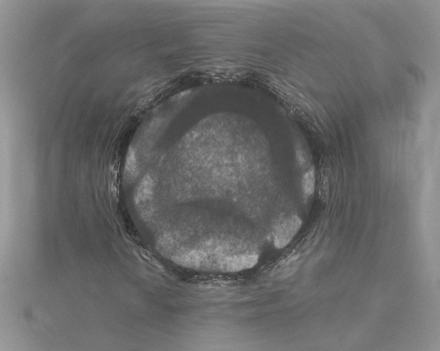 X0000114641010200911171026