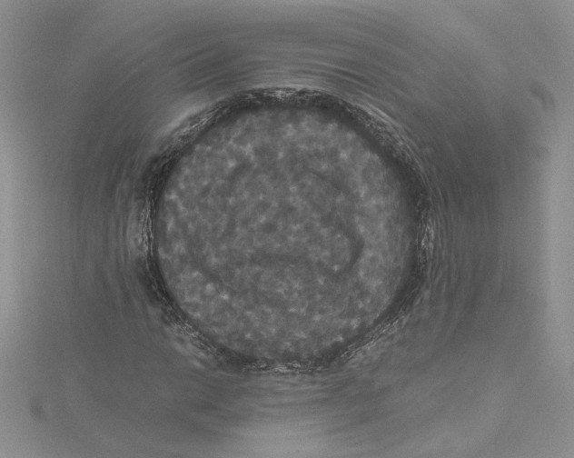 X0000114641014200911171026