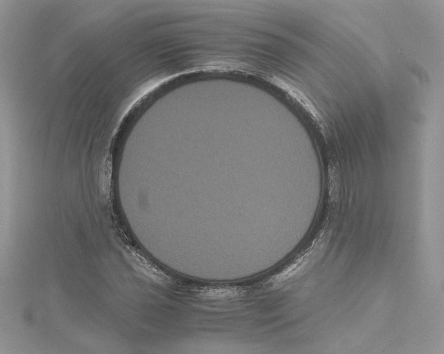 X0000114641021200911171026