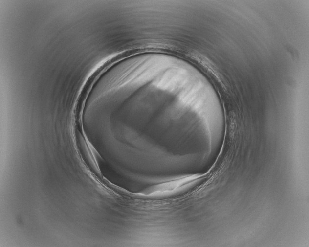 X0000114641024200911171026