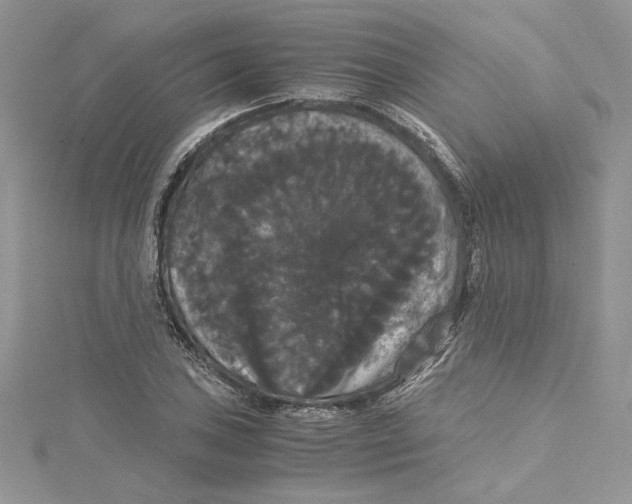 X0000114641027200911171026