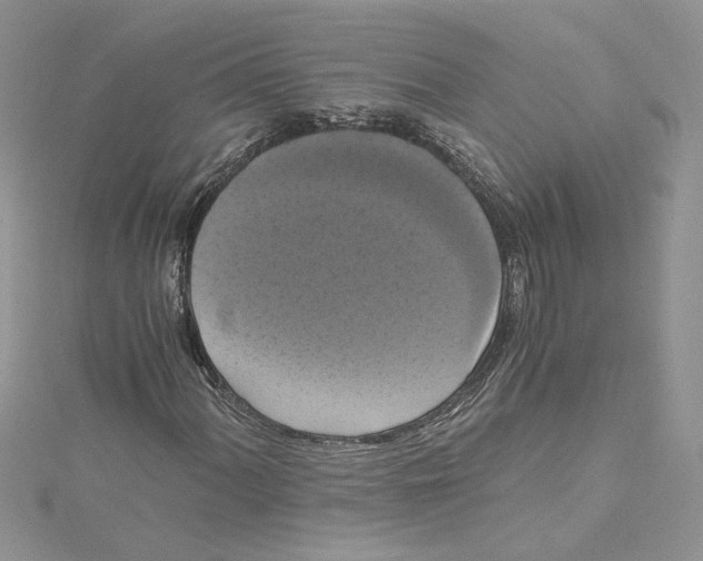 X0000114641060200911171025