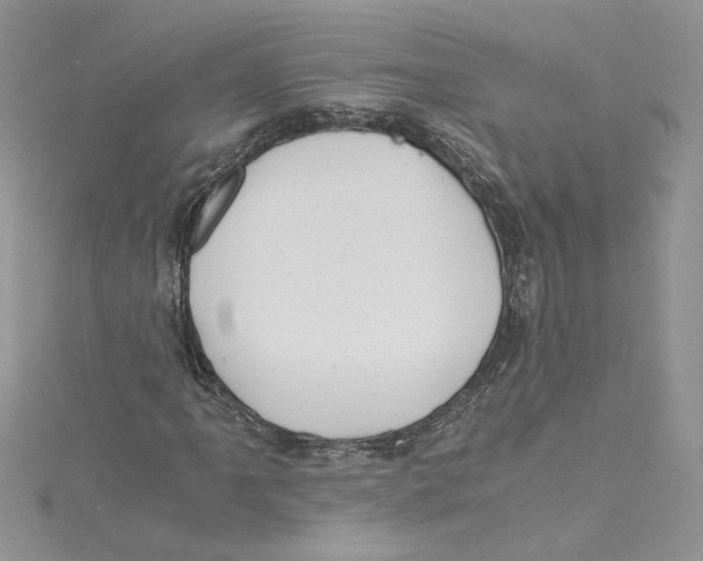 X0000114641061200911171025