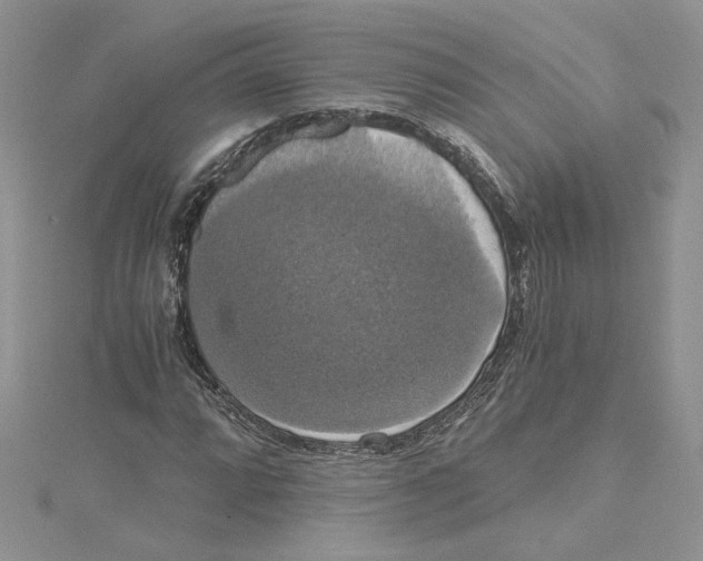 X0000114641064200911171025