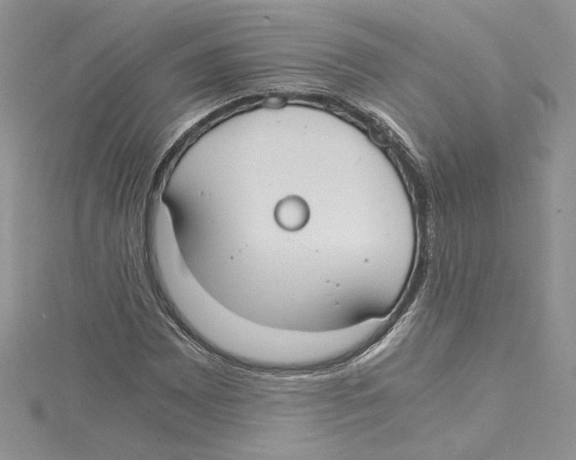 X0000114641065200911171025