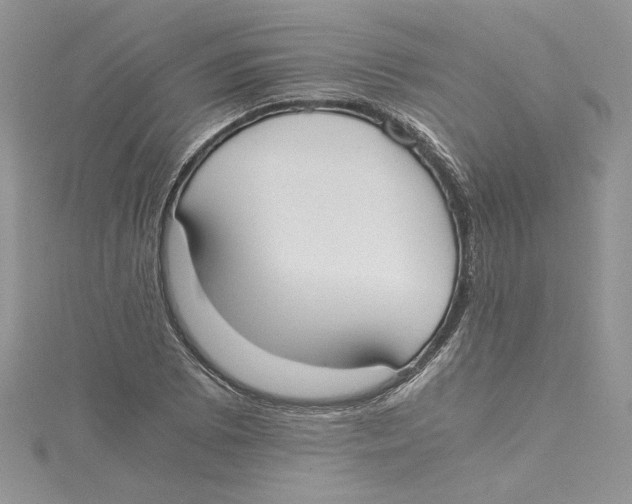 X0000114641073200911171025