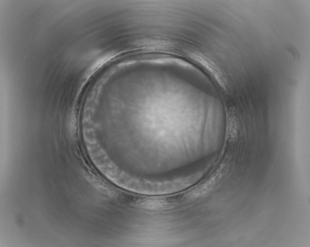 X0000114641074200911171025