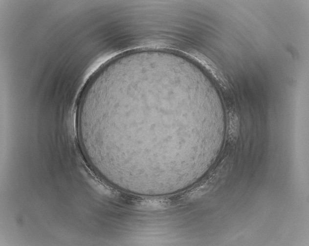 X0000114641078200911171025