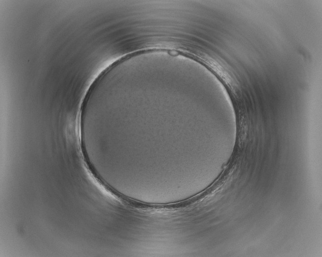 X0000114641084200911171025